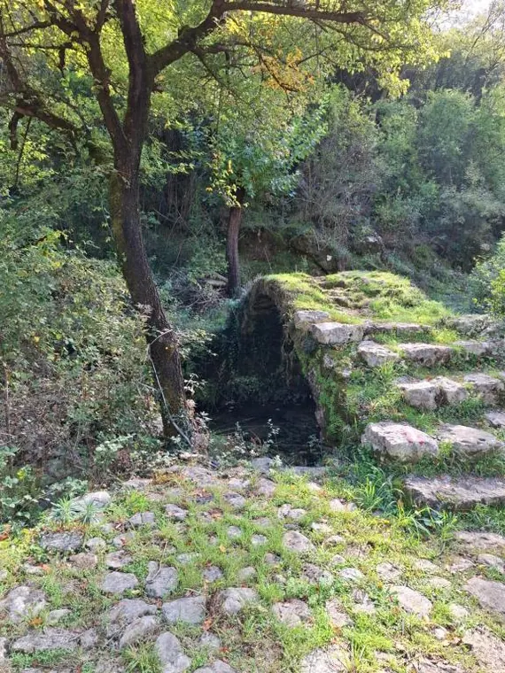 Old stone steps leading down toward the water