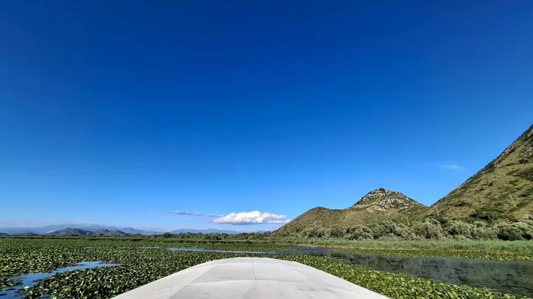 The boat heading into the lily fields under a wide sky
