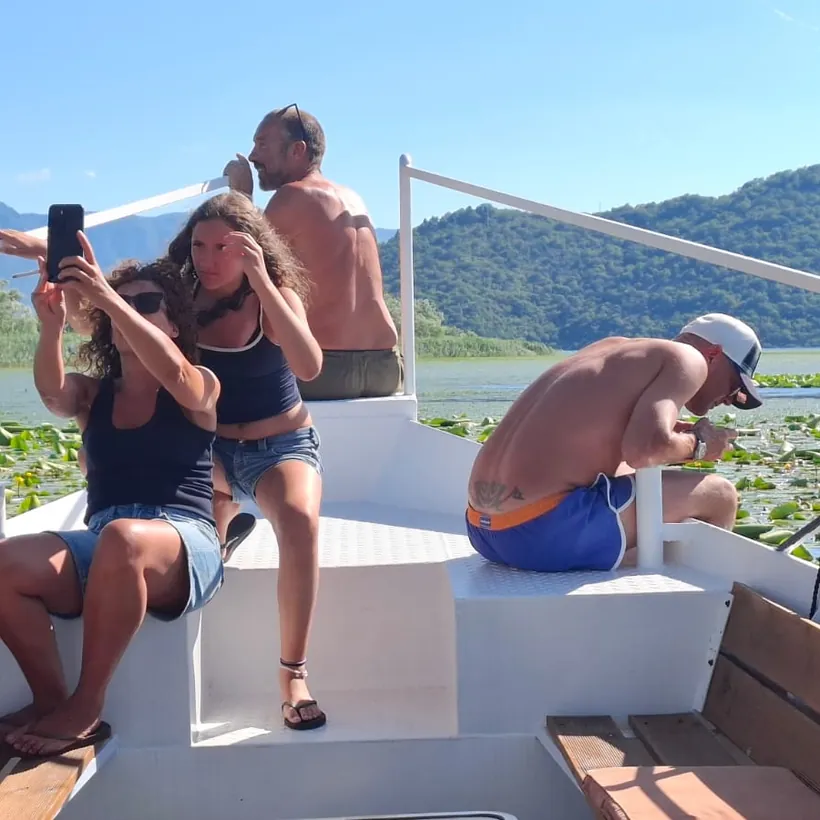 Guests watching birds with binoculars