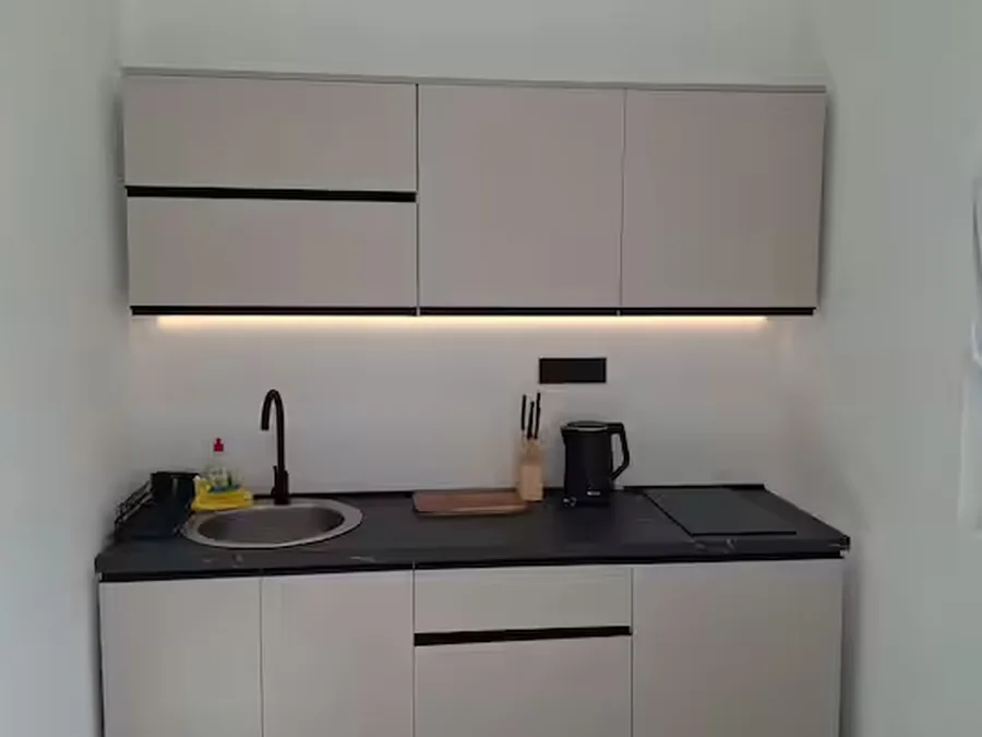 Luxury Apartment: interior